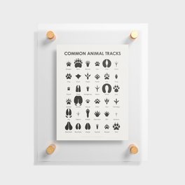 Animal Tracks Identification Chart or Guide Floating Acrylic Print