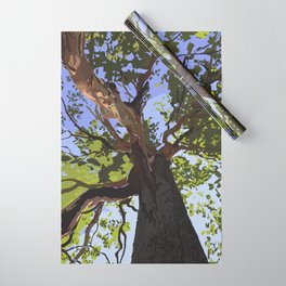 Madrona tree at Point Defiance Tacoma Wrapping Paper