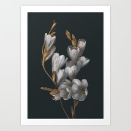 Night Flowers Art Print