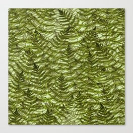 Vintage Ferns - Fresh Green Canvas Print