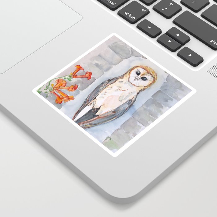 Observer Owl Sticker