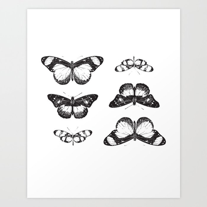 butterfly Art Print