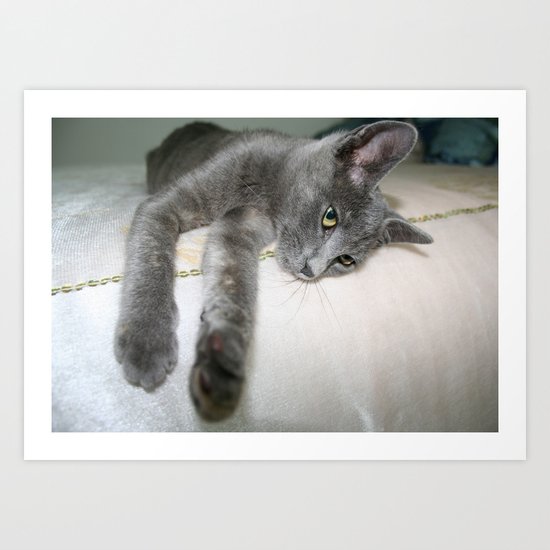 Russian Grey Cross Tabby Cat Art Print