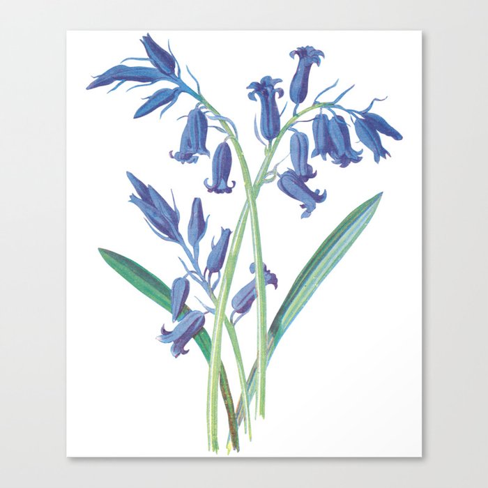 Blue Lily Of The Valley Artwork Painting Canvas Print By Azza1070