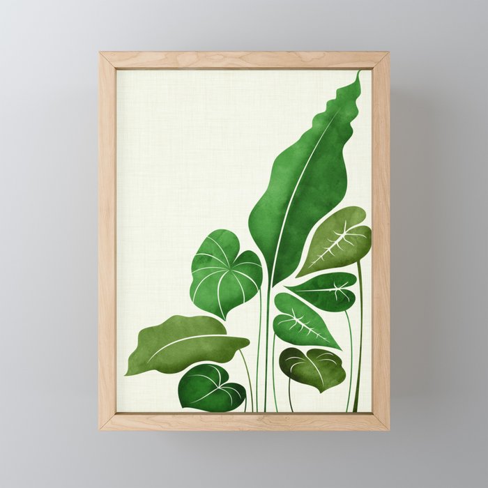 Cacophony Plant Illustration Framed Mini Art Print