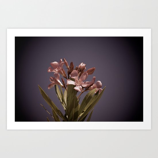 Pretty in Pink Vintage Art Print