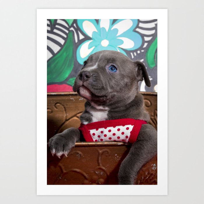society6