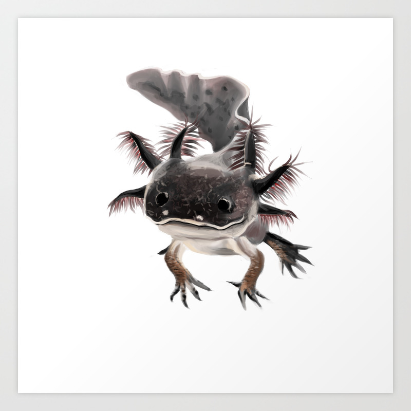 Axolotl Art Print By Lua Lazarovic Society6 Axolotl Art Print By Lua Lazarovic Society6
