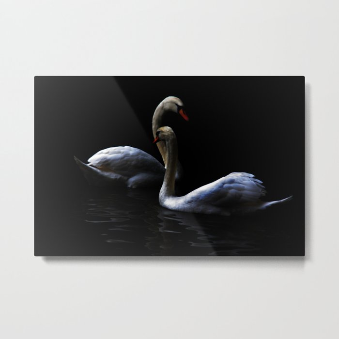 swans Metal Print