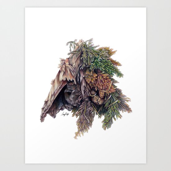 Colors of the Cypress Art Print