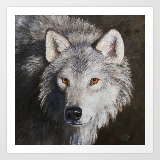 Gray Wolf Face Art Print