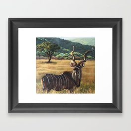 Kudu Framed Art Print