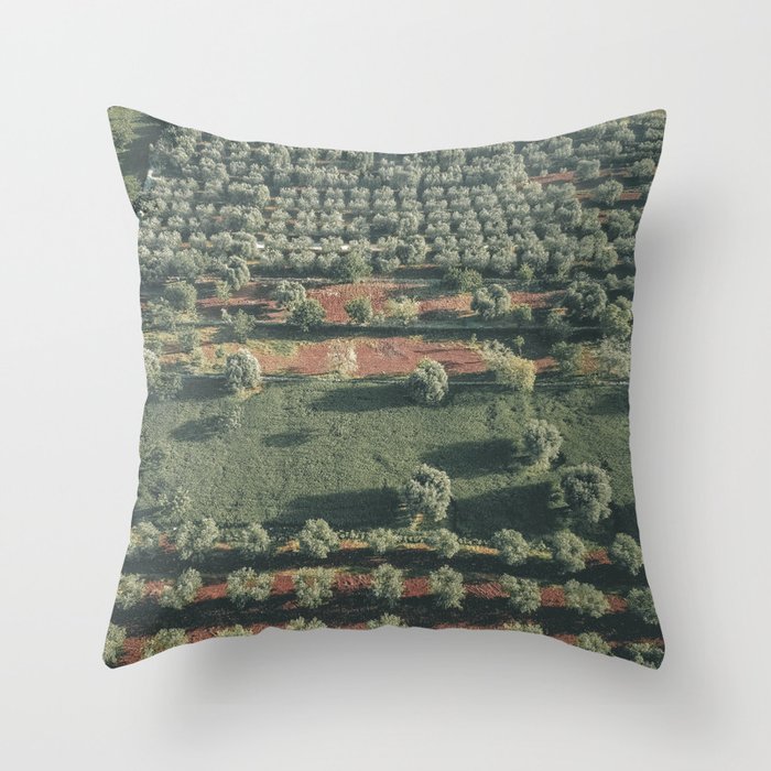 Italy Landscape, Drone photos, aerial photography, Puglia, countryside Throw Pillow