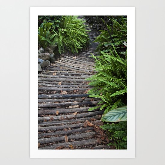 Road in the forest Art Print