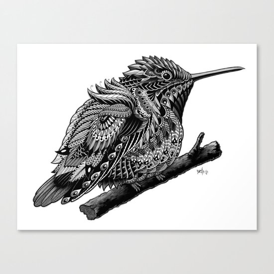 Hummingbird Canvas Print