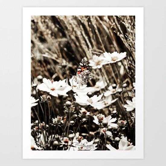 Brown Butterfly Art Print