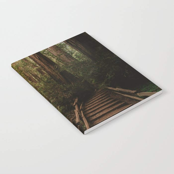 Muir Woods | California Redwoods Forest Nature Travel Photography Notebook