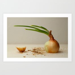 Sliced onion Art Print