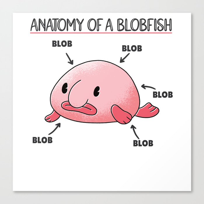 Blobfish Statement Anatomy Of Blobfish Canvas Print