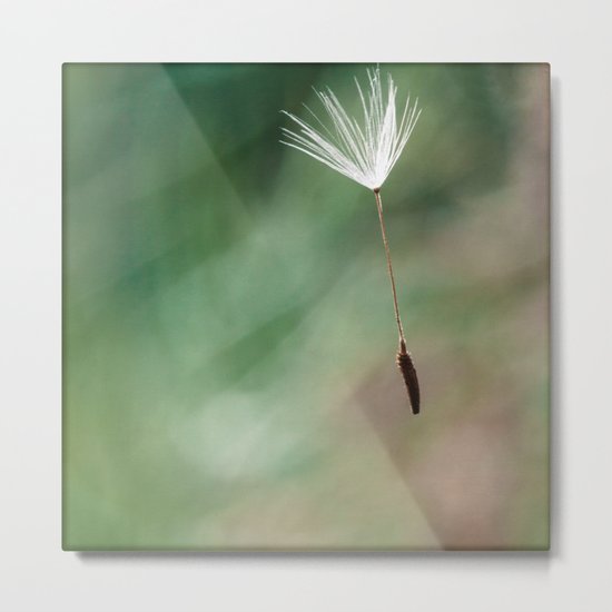 drop Metal Print