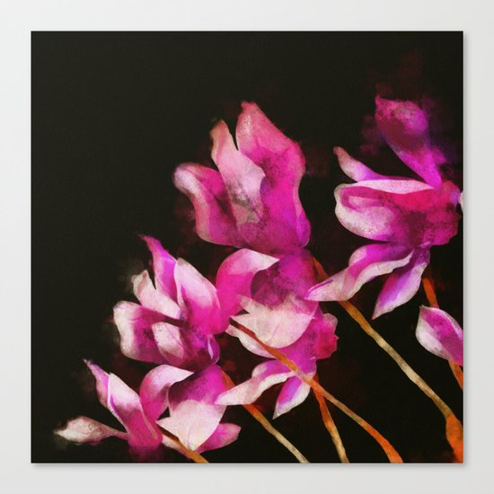 Cyclamens Canvas Print