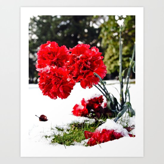 Frost flowers Art Print