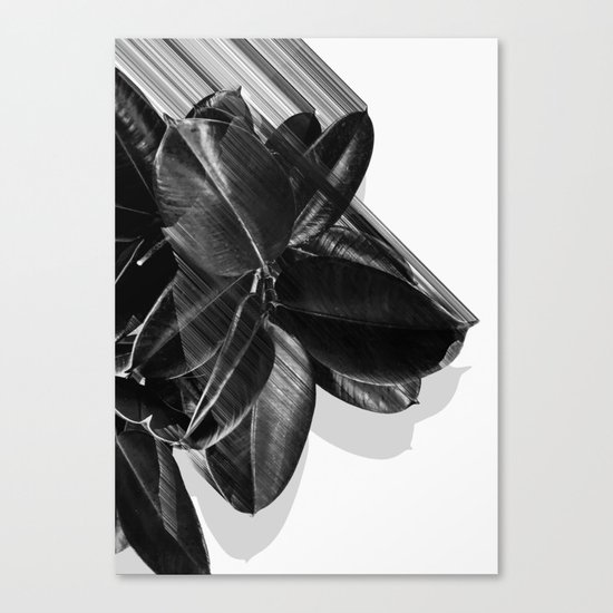 We Crush Canvas Print