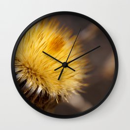 Dry flower Wall Clock