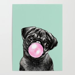 Bubble Gum Black Pug in Green Poster