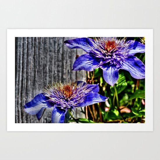 Shining at High Noon Art Print