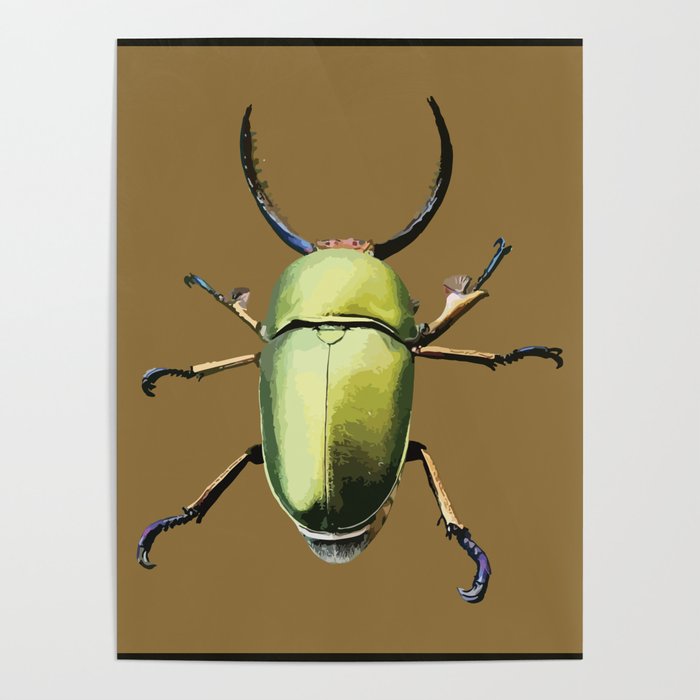 Lamprima Adolphinae / Green Beetle / Escarabajo verde Poster