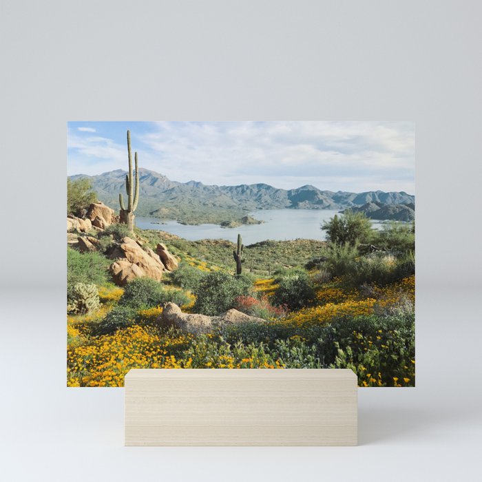 Mini Art Print