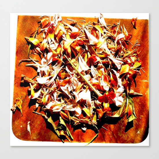 Flowers on a table 2 Canvas Print
