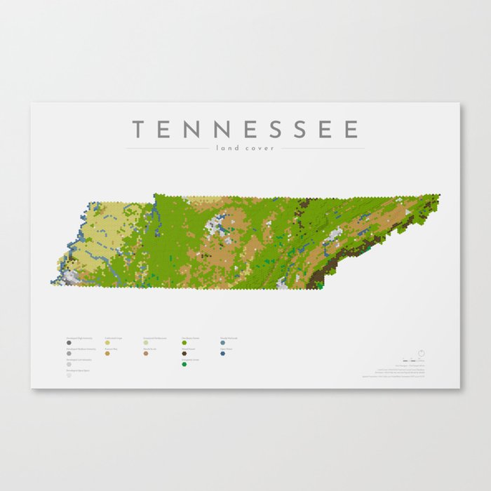Tennessee Land Cover Map Art Canvas Print