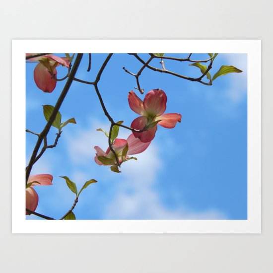 Dogwood Art Print