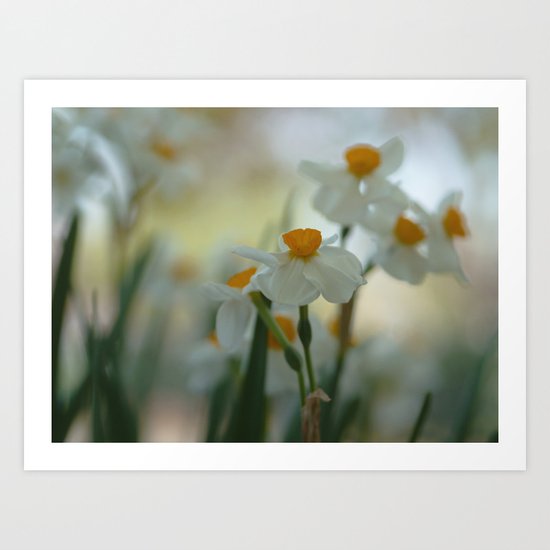 Morning Dream Art Print