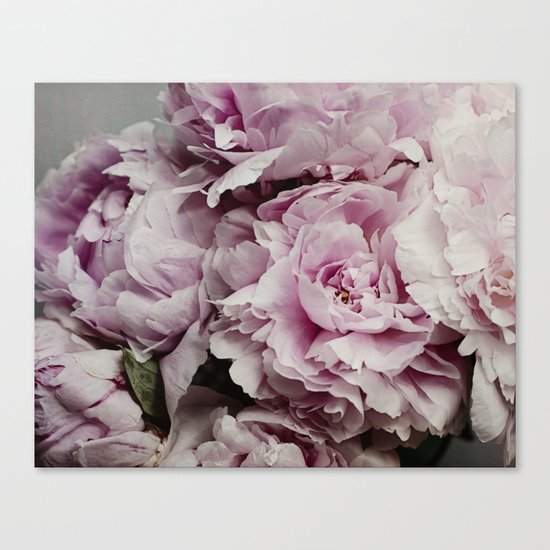 Pink Peony Canvas Print