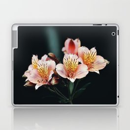 Lily of the Incas Laptop & iPad Skin