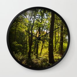 Into The Woods  Wall Clock