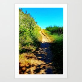 Nature Trail on Whidbey Island Art Print