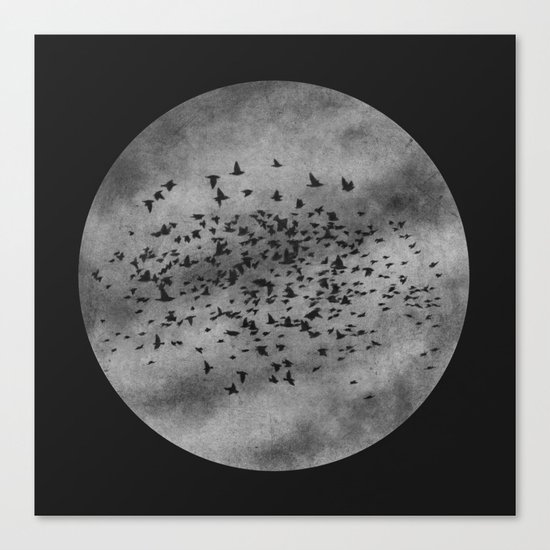 Rooftoppers - Chapter 23 Canvas Print