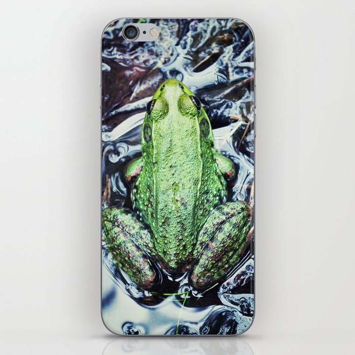 Green Frog iPhone Skin