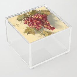 Grapes Against White Wall by Edwin Deakin Acrylic Box