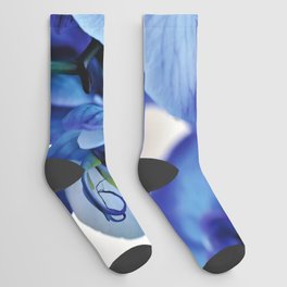 Blue Orchids Socks