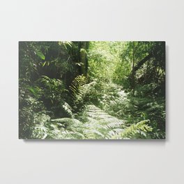 Iguazú Dream Metal Print | Artoftheday, Filmphotography, Forest, Photo, Analog, 35Mm, Film, Jungle, Analogue, Landscape 