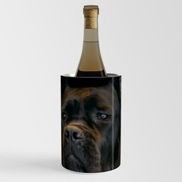 Cane Corso - Italian Mastiff Wine Chiller