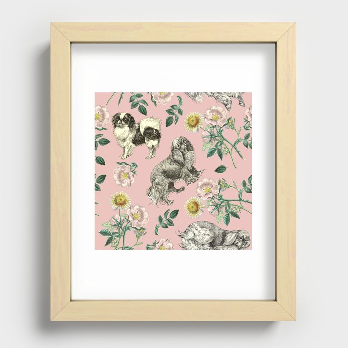 Cavalier King Charles Spaniels and  Japanese Spaniels with Dog Rose - Pink pattern  Recessed Framed Print