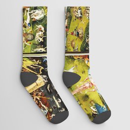 Bosch Garden Of Earthly Delights 3 Panel Socks