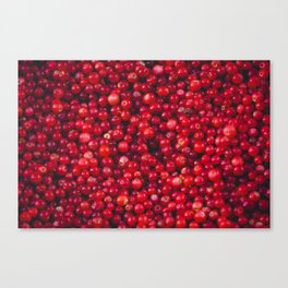 Pile of Lingonberries Canvas Print