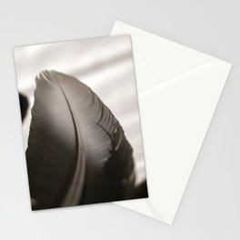 Feather Stationery Cards